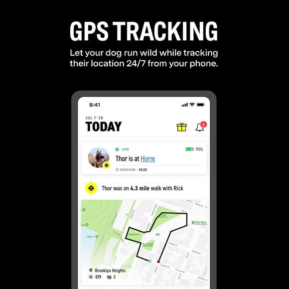 "FI" GPS dog collar Series 2 - Picture 3 of 6